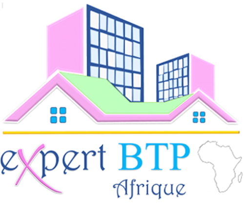 Expert BTP Afrique